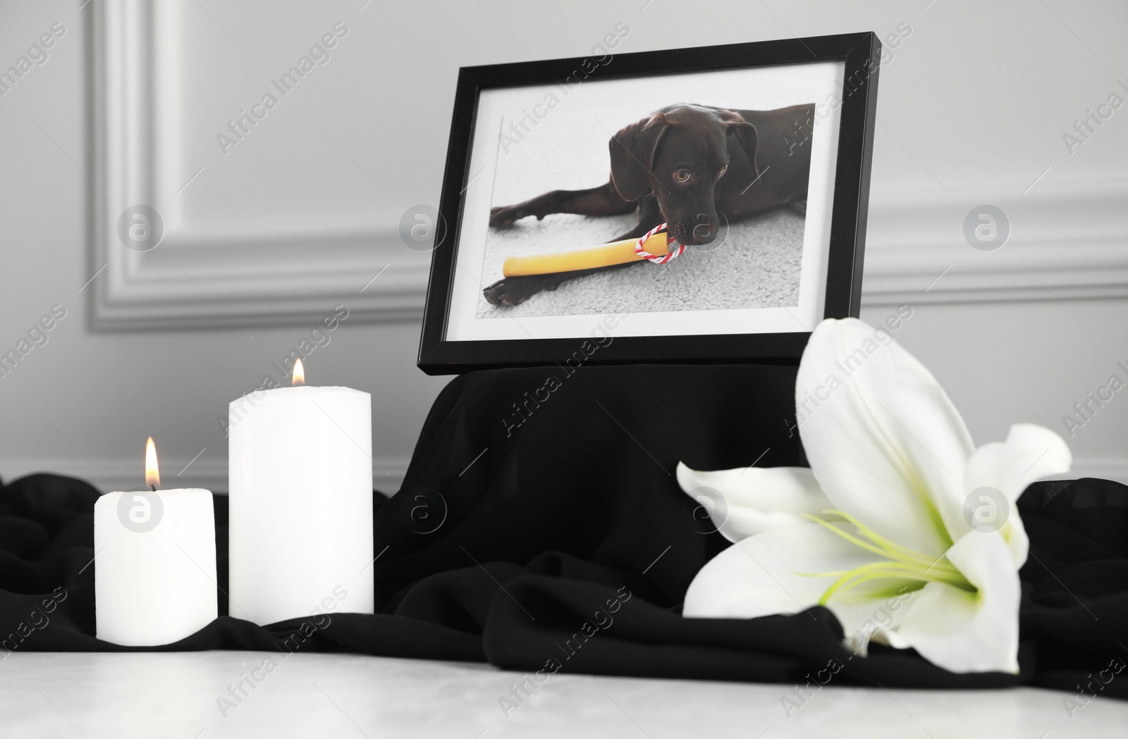 Photo of Frame with picture of dog, burning candles and lily flower on light grey table. Pet funeral