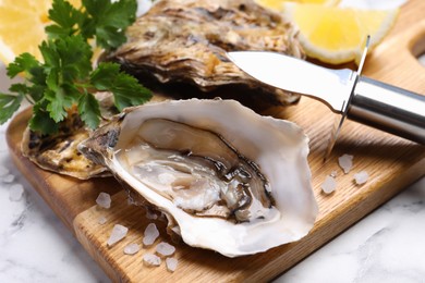 Photo of Fresh oysters with lemon, parsley and knife on white marble table, closeup