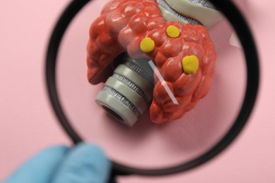 Endocrinologist looking at model of thyroid gland through magnifying glass on pink background, closeup
