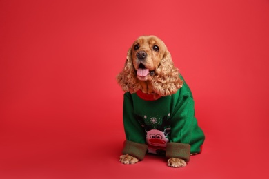 Photo of Adorable Cocker Spaniel in Christmas sweater on red background, space for text