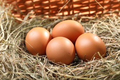 Photo of Fresh raw chicken eggs in nest, closeup