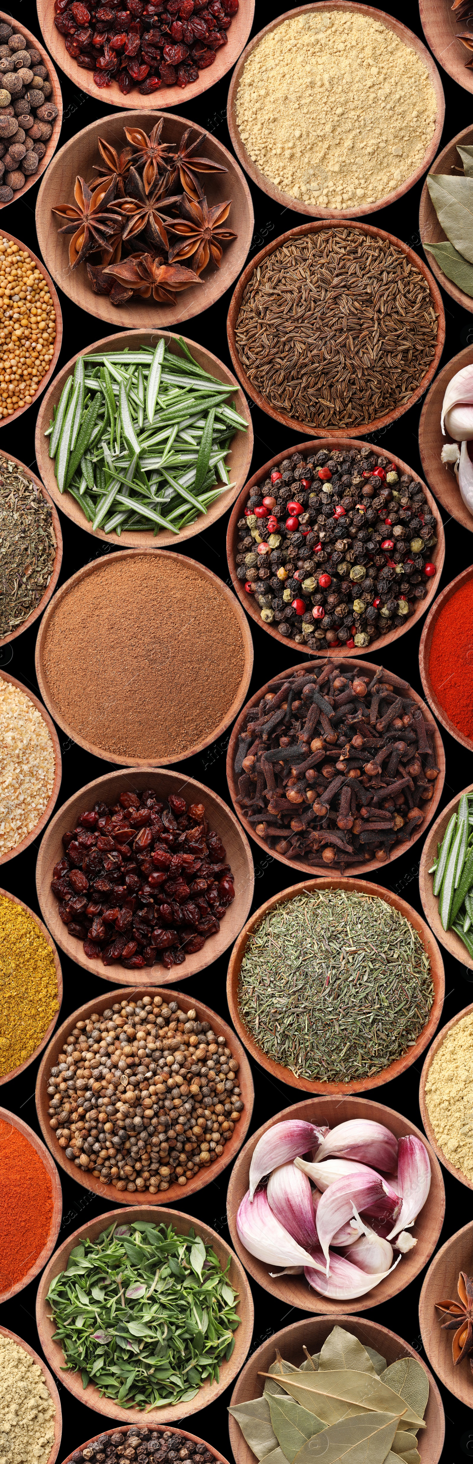 Image of Collection of different aromatic spices and herbs on black background, flat lay. Vertical banner design