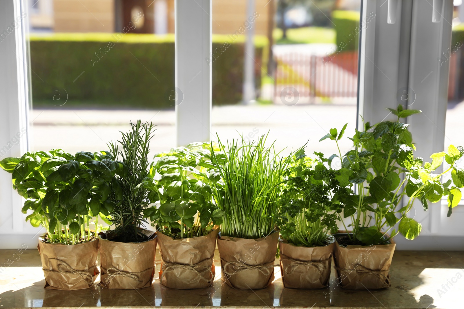 Photo of Different aromatic potted herbs on windowsill indoors