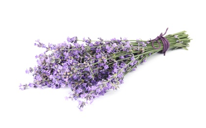 Photo of Beautiful tender lavender flowers on white background