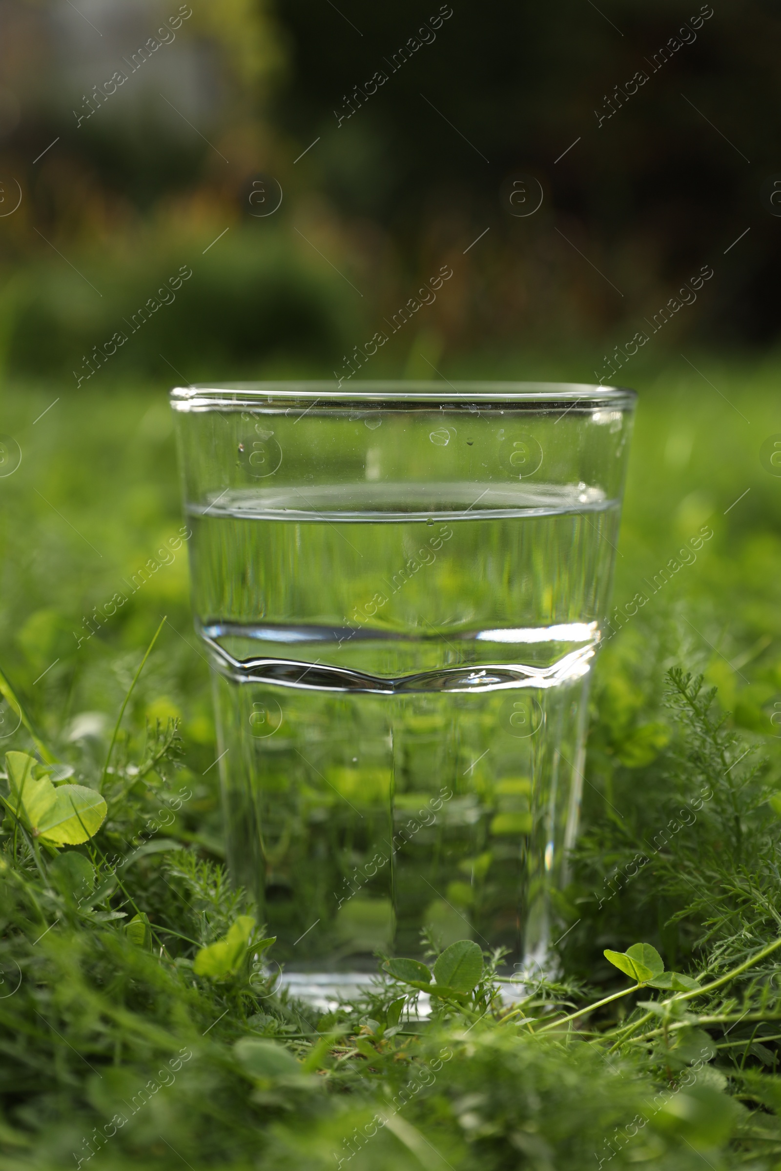 Photo of Glass of fresh water on green grass outdoors, closeup