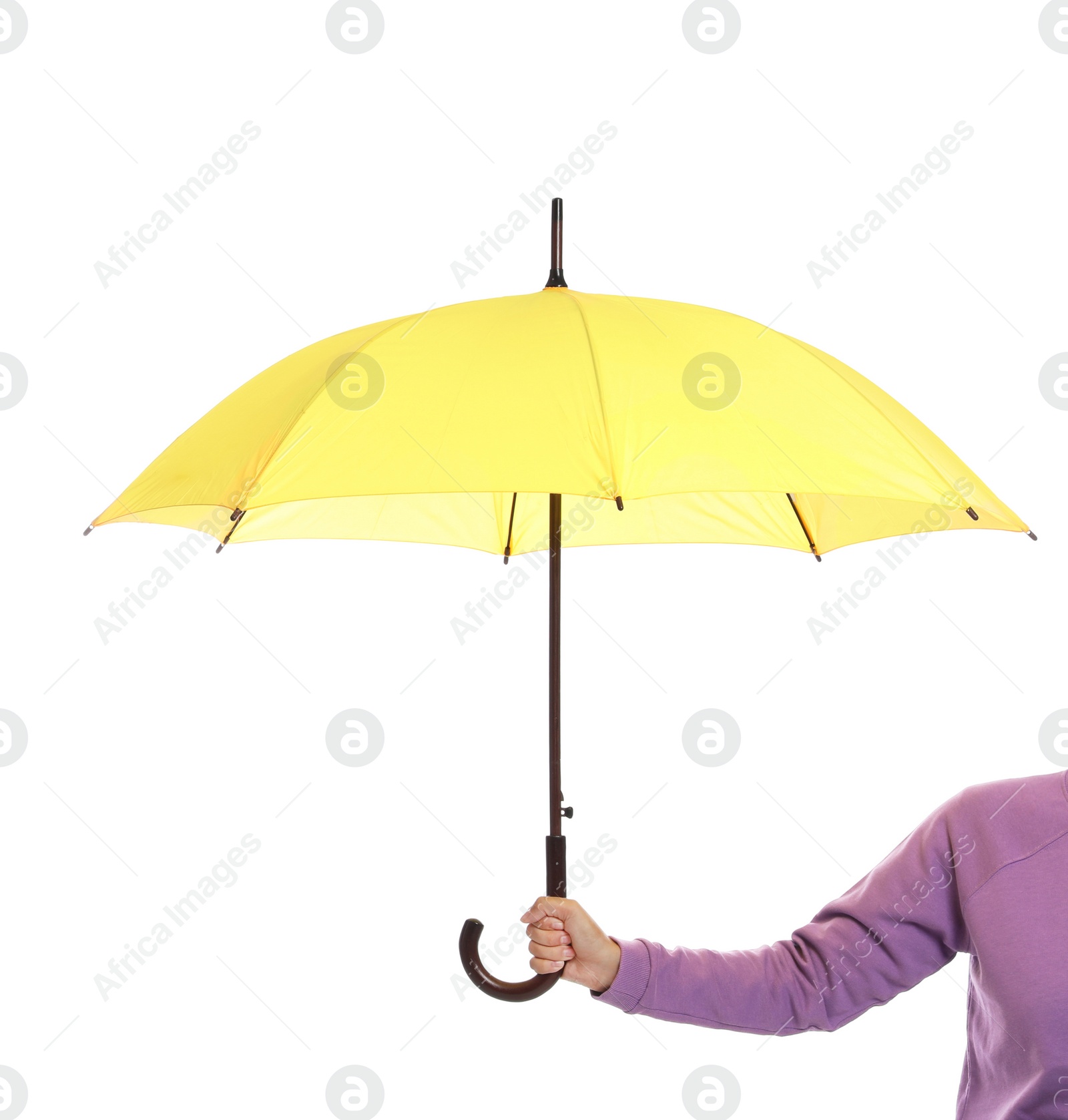 Photo of Person holding beautiful open umbrella on white background