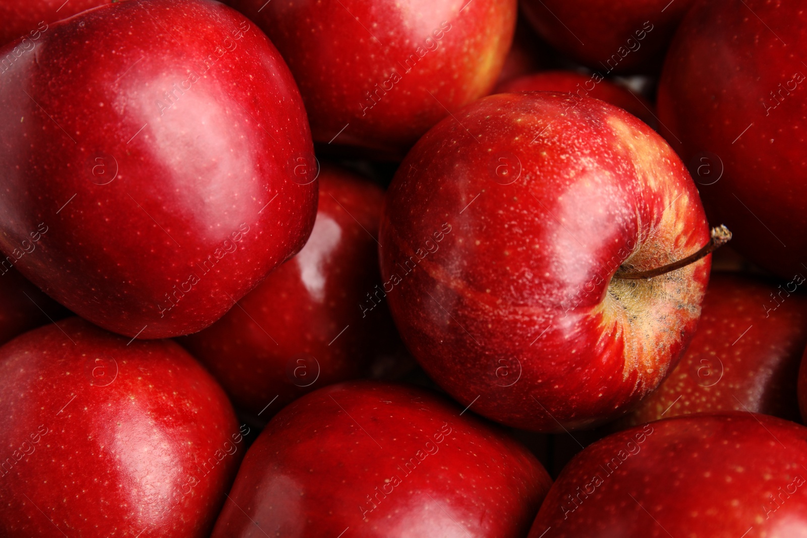 Photo of Many ripe juicy red apples as background, closeup