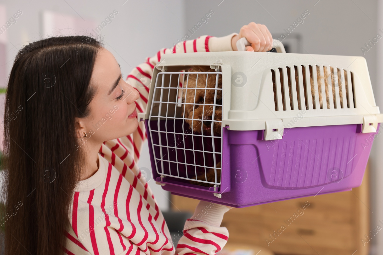 Photo of Travelling with pet. Woman looking at carrier with her dog indoors
