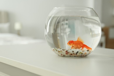 Beautiful bright goldfish in aquarium on table at home. Space for text