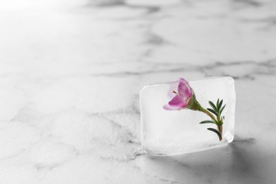 Photo of Floral ice cube on table. Space for text