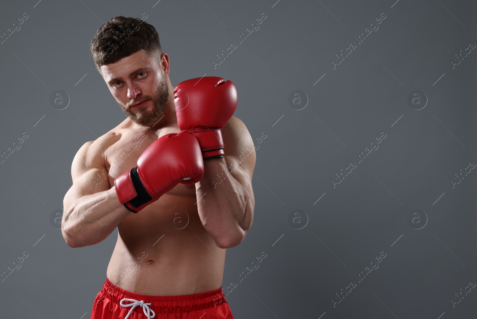 Photo of Man putting on boxing gloves against grey background. Space for text