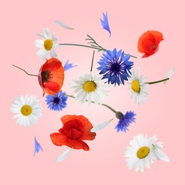 Image of Beautiful meadow flowers falling on pink background