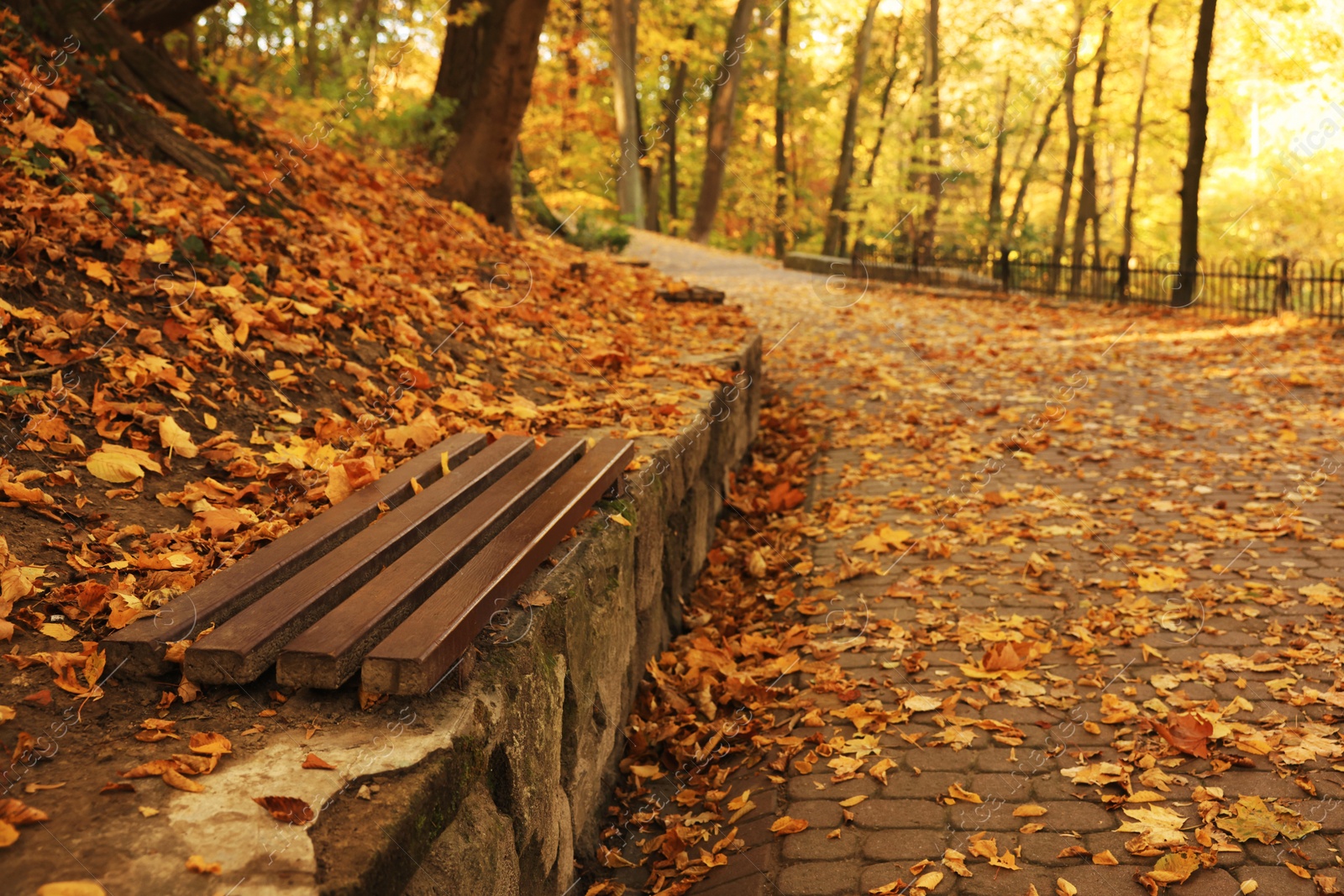 Photo of Wooden bench and yellowed leaves in park on sunny day