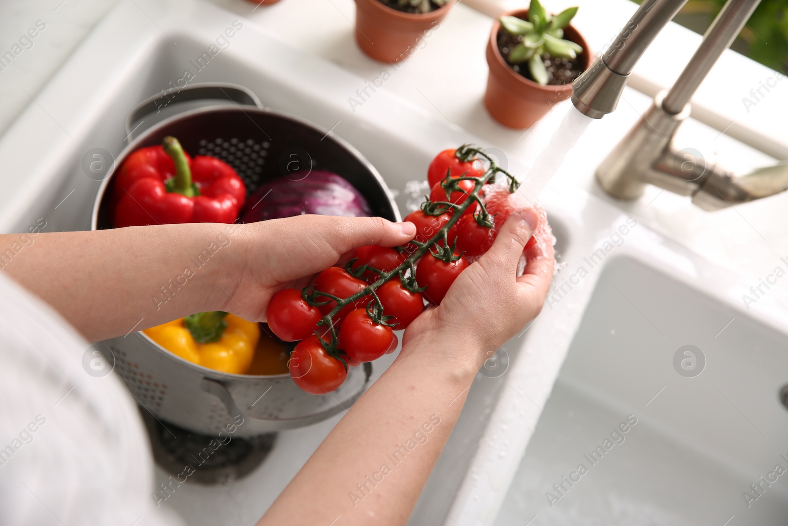 Photo of Woman washing fresh cherry tomatoes in kitchen sink, closeup