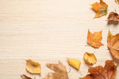 Photo of Flat lay composition with autumn leaves on wooden background. Space for text