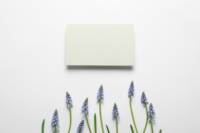 Beautiful spring muscari flowers and card on light background, flat lay. Space for text