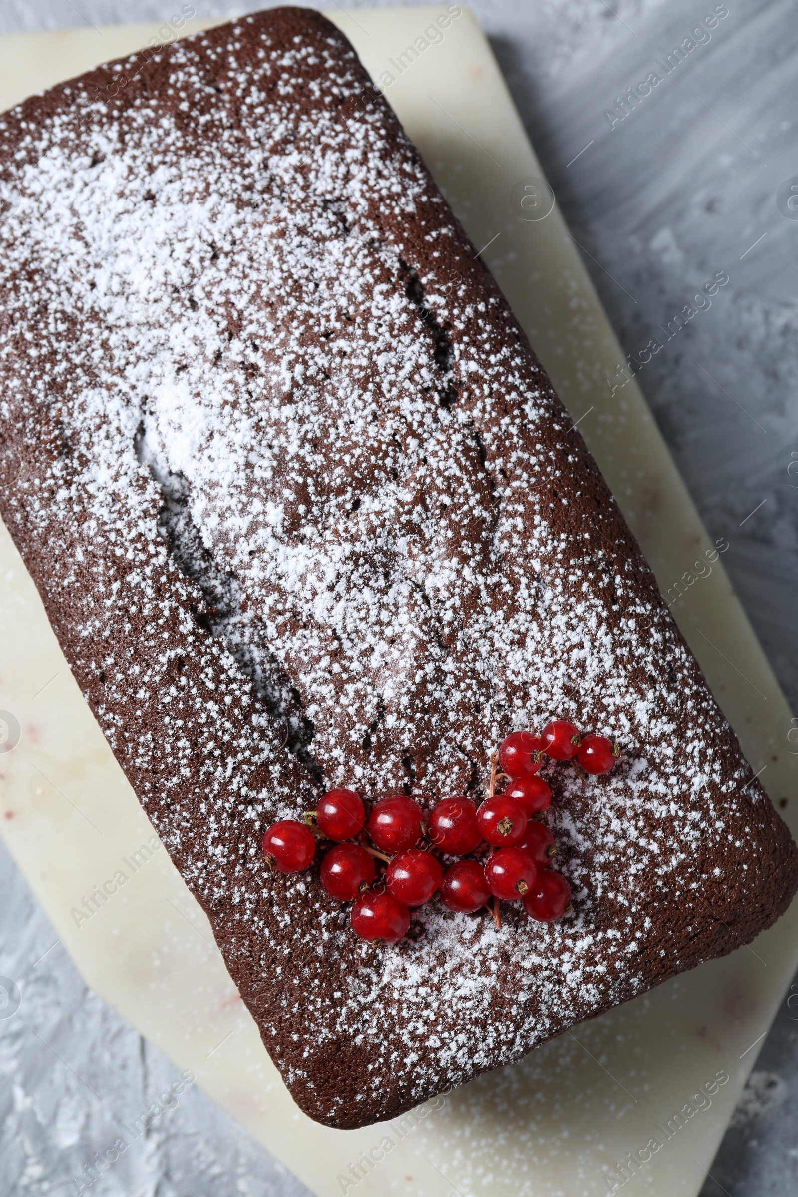 Photo of Tasty chocolate sponge cake with powdered sugar and currant on light grey textured table, top view