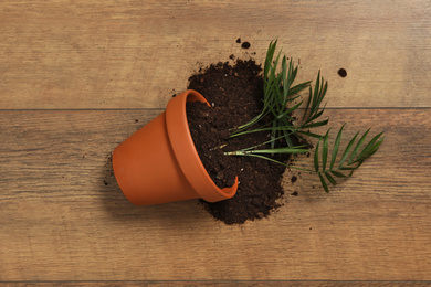 Overturned terracotta flower pot with soil and plant on wooden background, flat lay