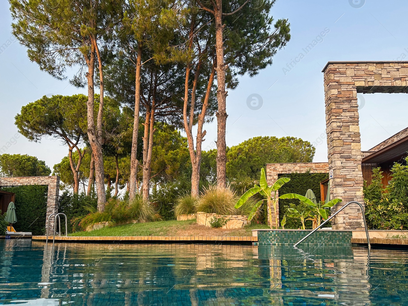 Photo of Swimming pool and exotic plants at luxury resort