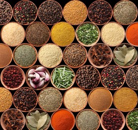 Image of Collection of different aromatic spices and herbs on black background, flat lay