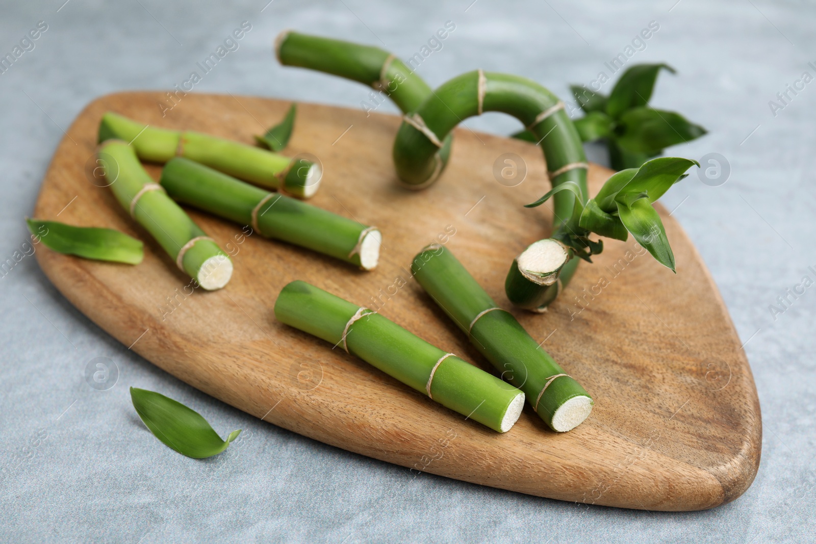 Photo of Pieces of beautiful green bamboo stems on light grey background