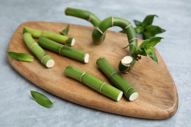 Pieces of beautiful green bamboo stems on light grey background