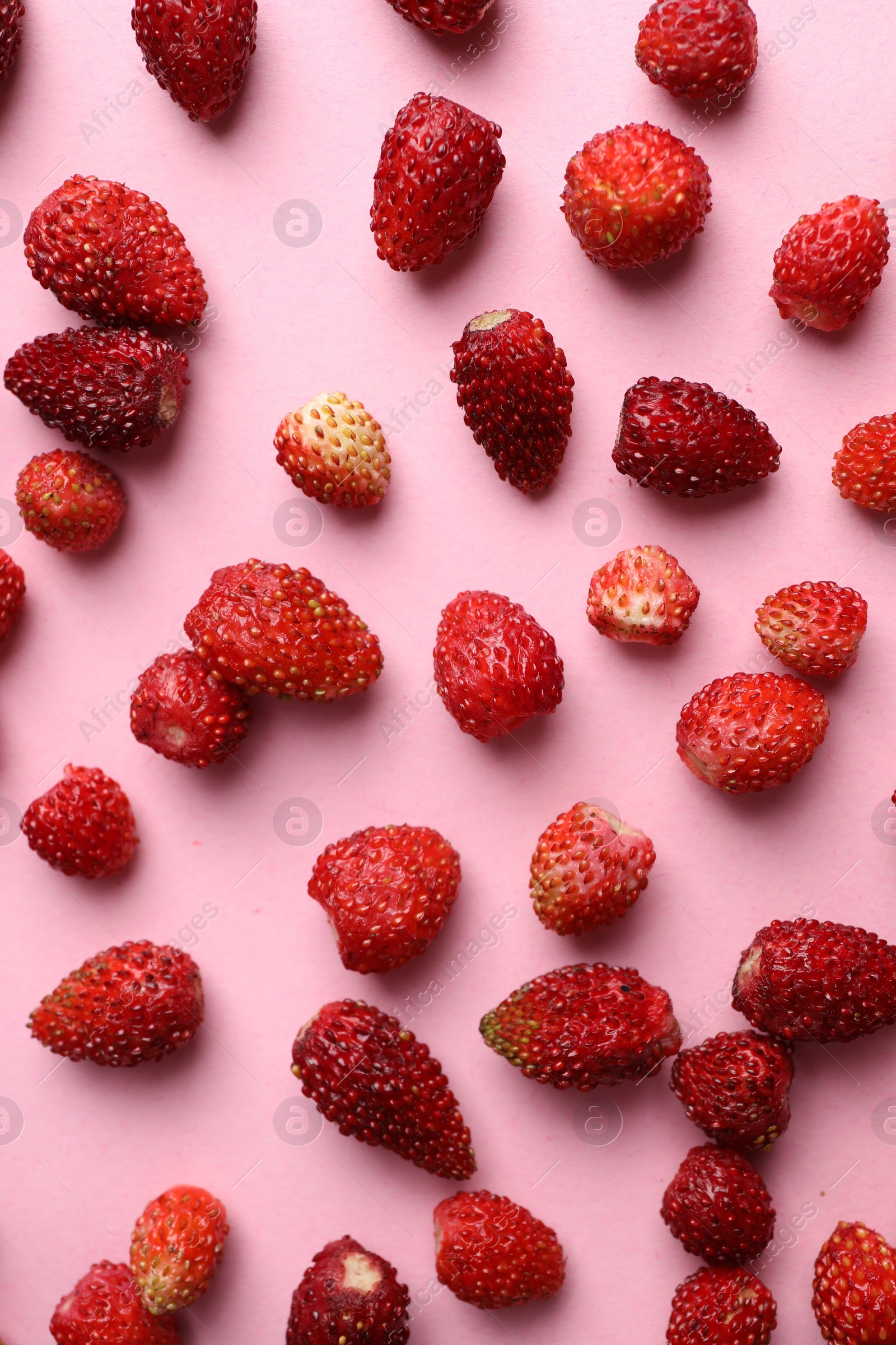 Photo of Many fresh wild strawberries on pink background, flat lay