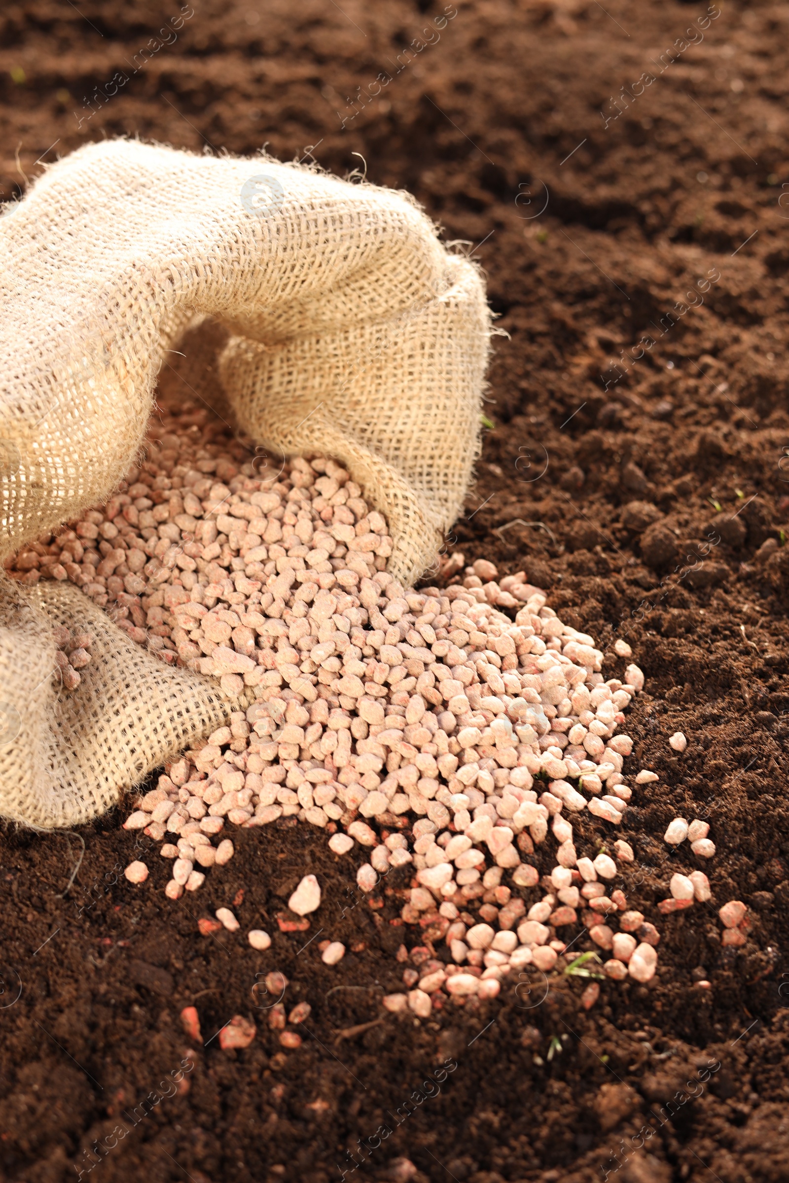 Photo of Granulated fertilizer in sack on soil, closeup