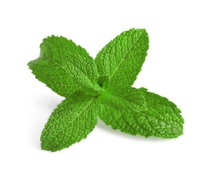 Fresh mint plant with green leaves isolated on white