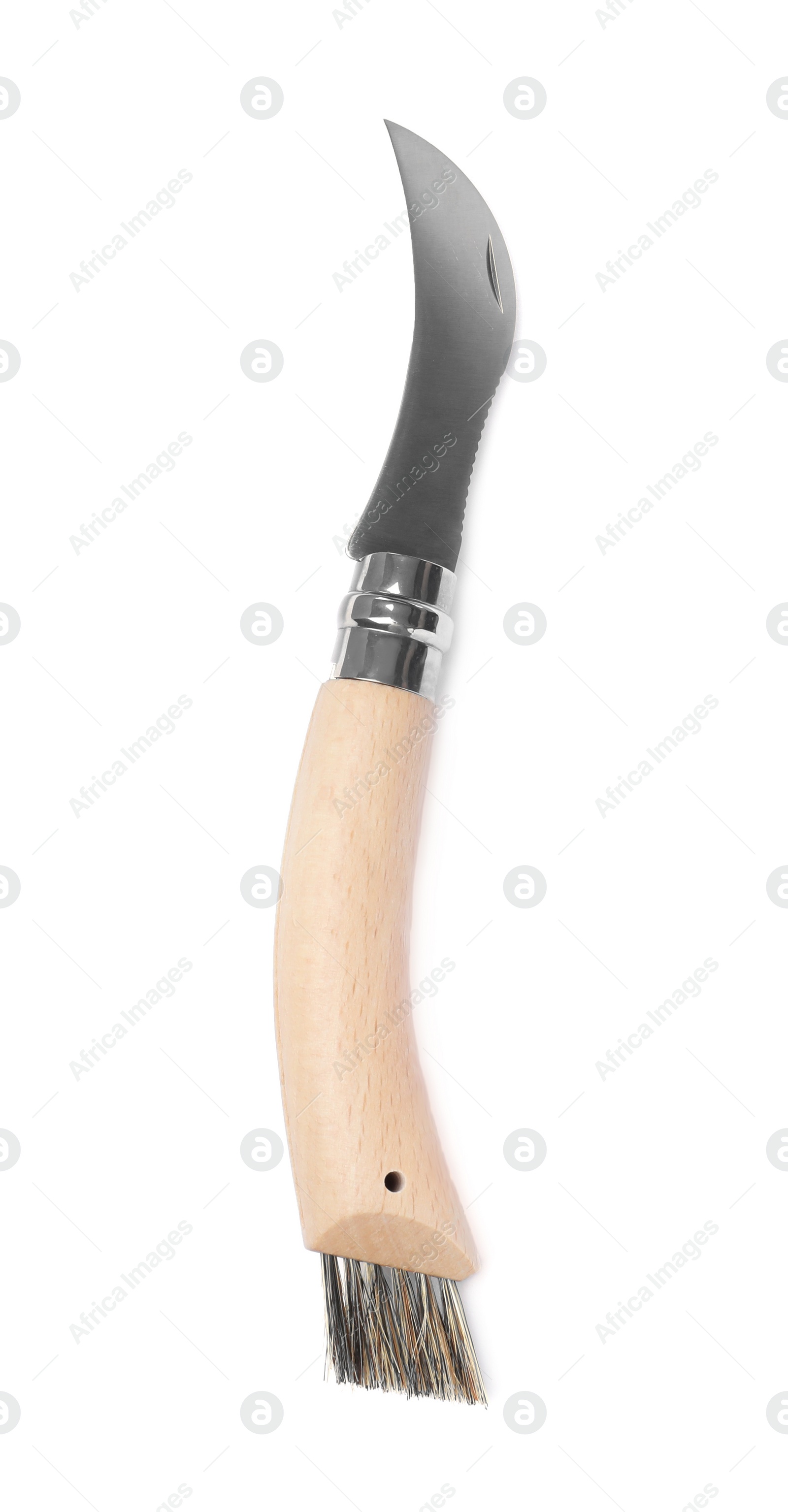 Photo of Mushroom knife with brush isolated on white, top view