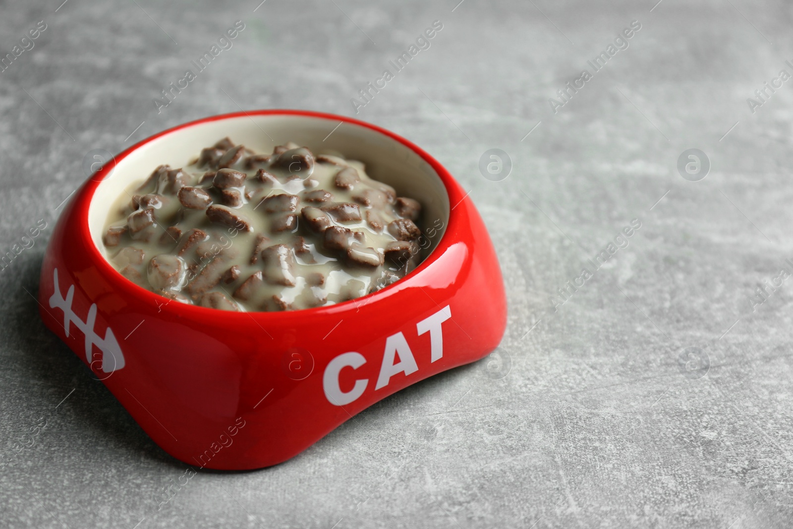 Photo of Wet pet food in feeding bowl on light grey background, space for text