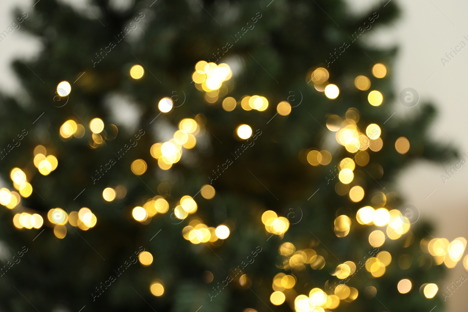 Photo of Blurred view of Christmas tree with bright fairy lights, closeup. Bokeh effect