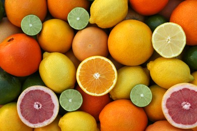 Photo of Many different whole and cut citrus fruits as background, top view