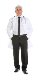 Full length portrait of male doctor with stethoscope isolated on white. Medical staff