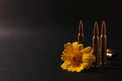 Photo of Bullets and beautiful flower on black background. Space for text