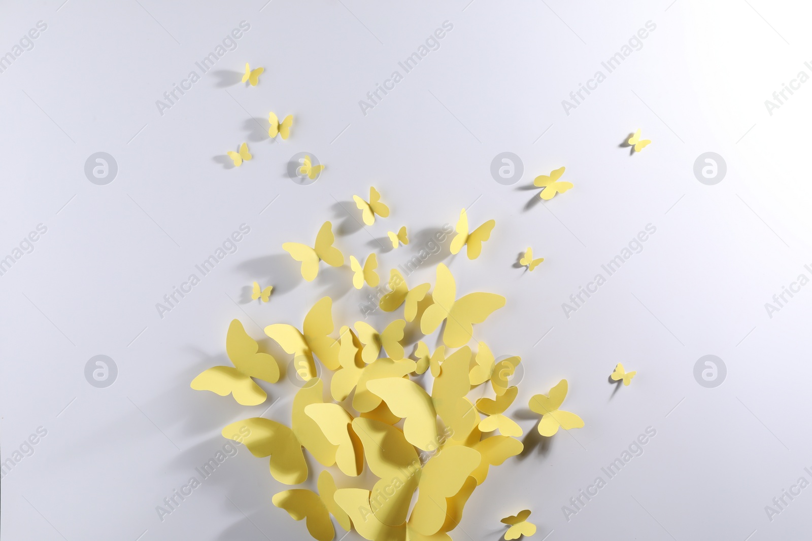 Photo of Yellow paper butterflies on white background, top view