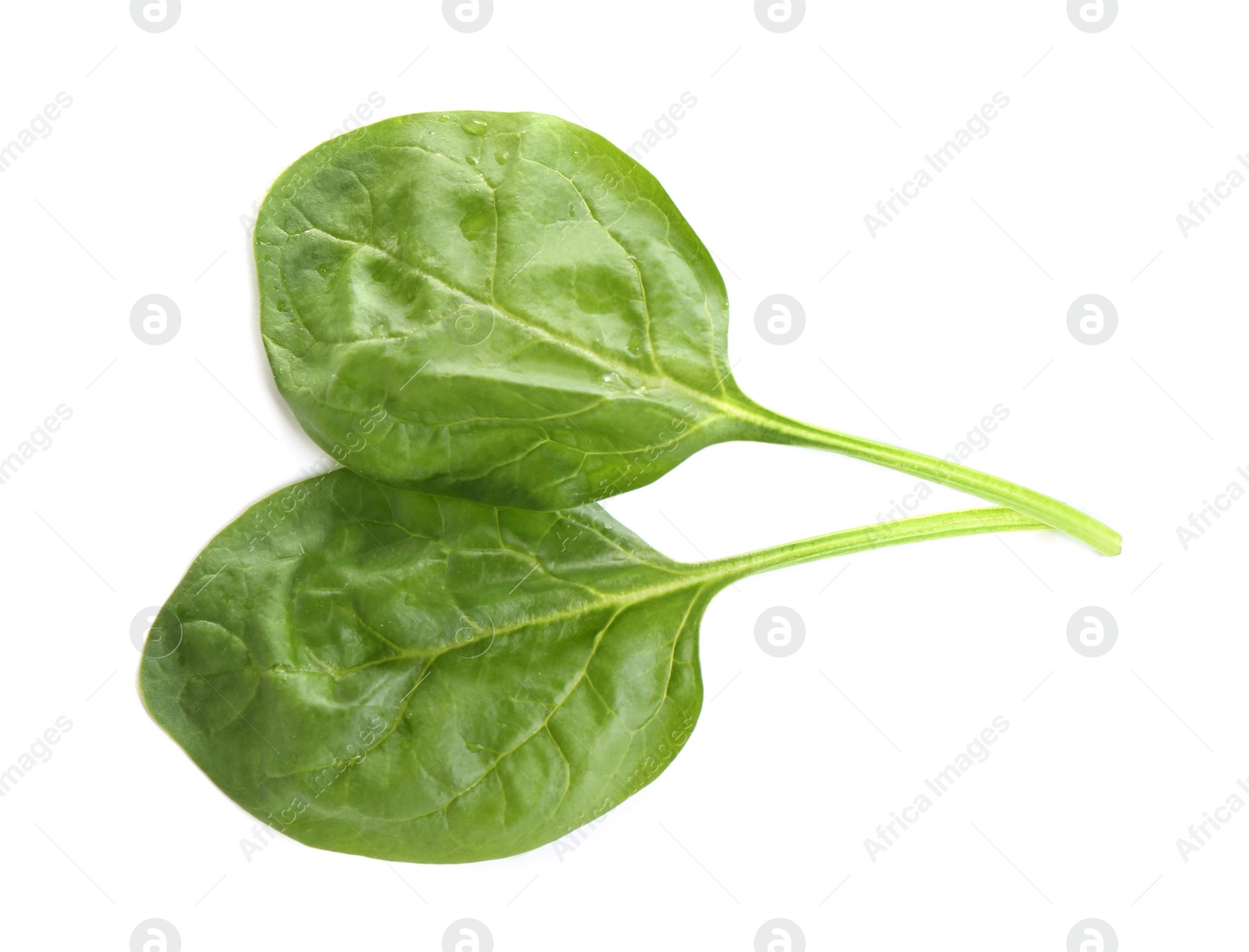 Photo of Fresh green healthy baby spinach leaves isolated on white, top view