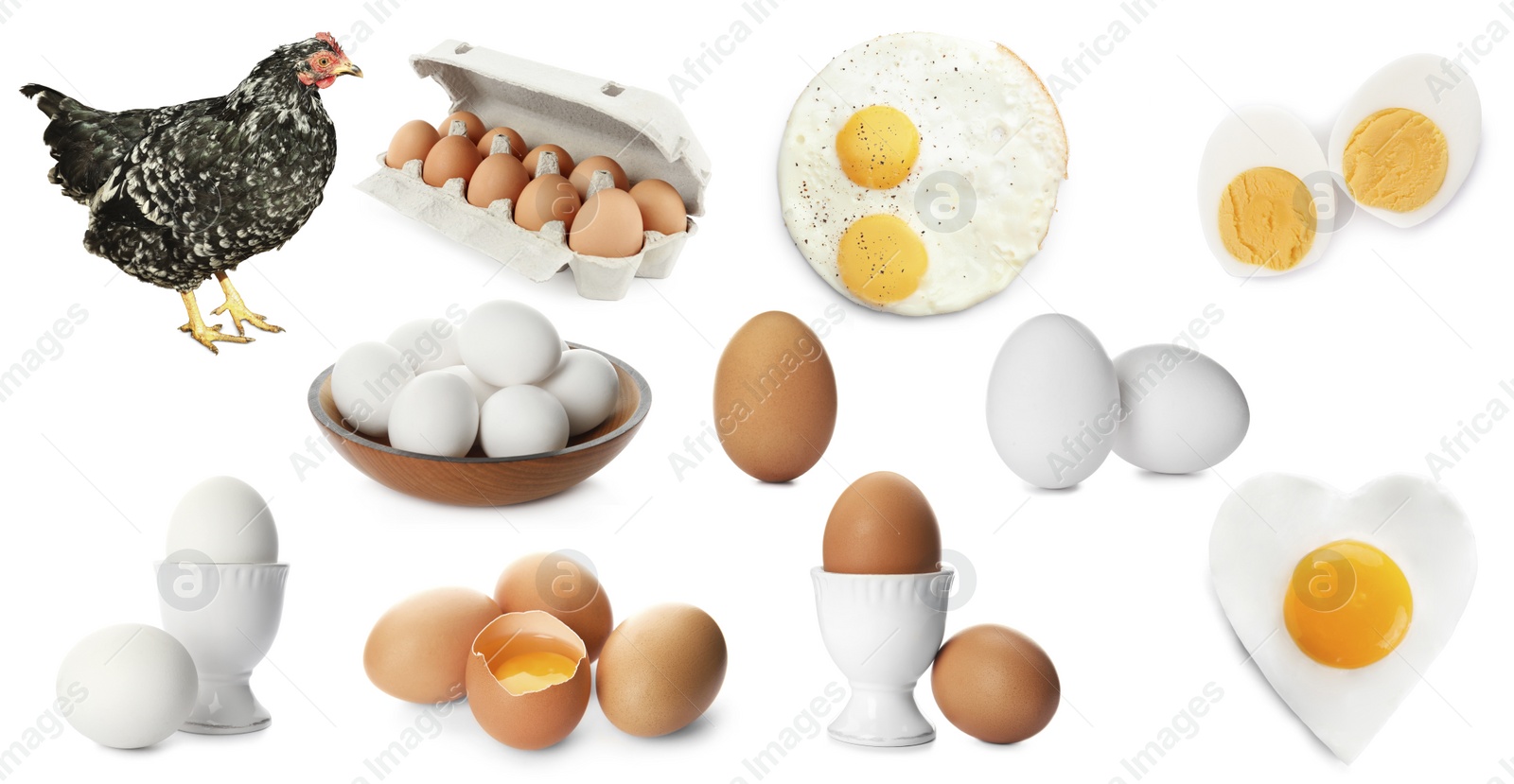 Image of Collage with chicken and eggs on white background. Banner design