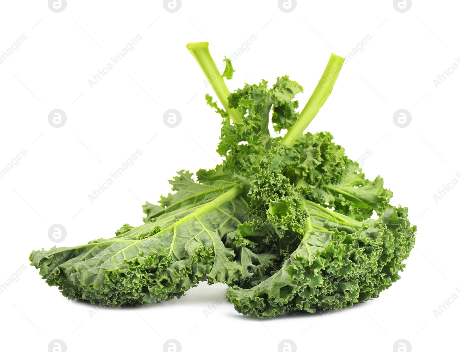 Photo of Fresh green kale leaves isolated on white