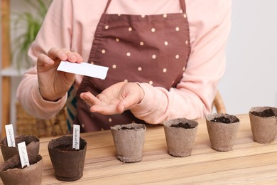 Photo of Woman planting vegetable seeds into peat pots with soil at wooden table indoors, closeup
