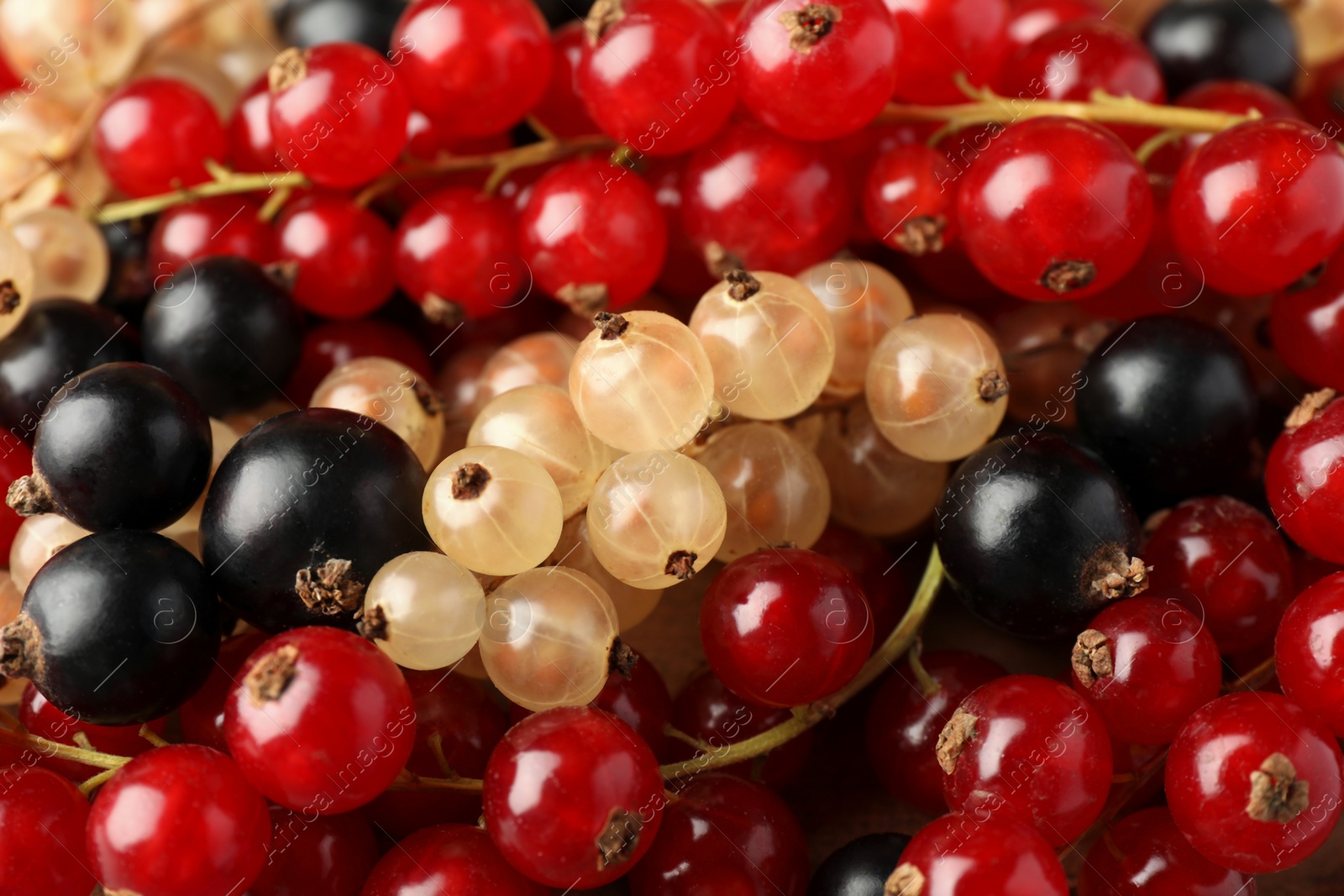 Photo of Different fresh ripe currants as background, closeup