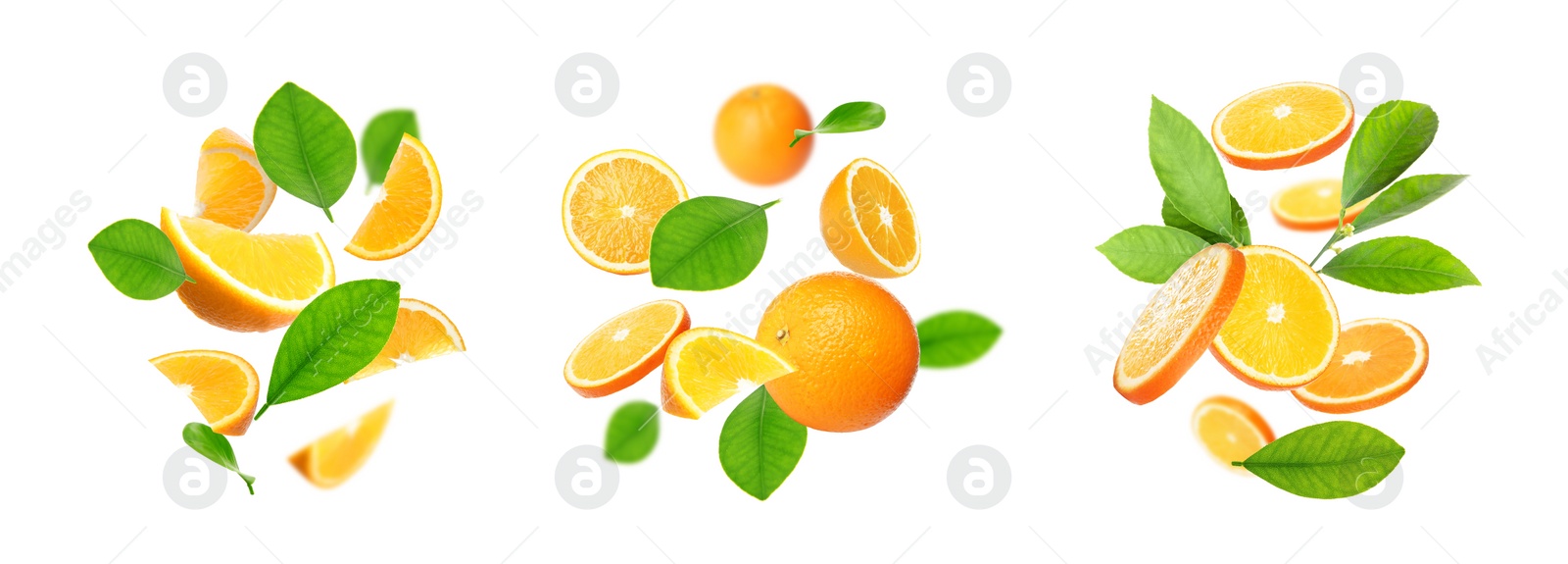 Image of Set of cut and whole oranges with green leaves flying on white background