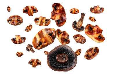 Image of Slices of grilled mushrooms in air on white background