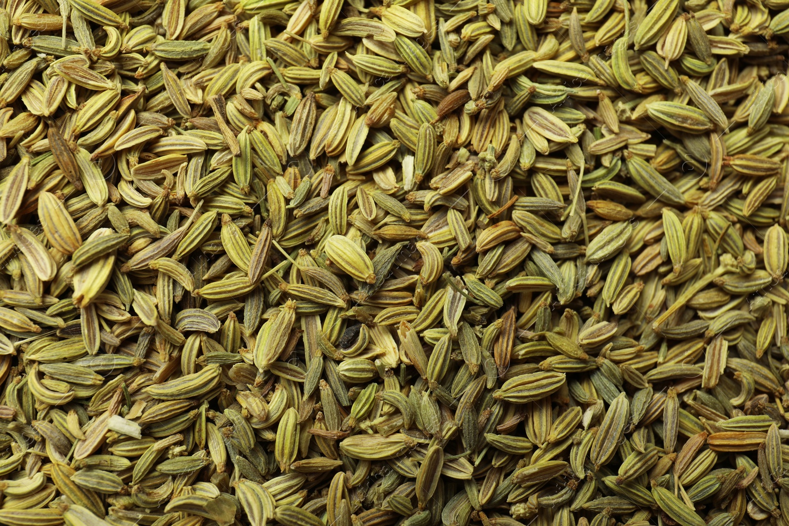 Photo of Many fennel seeds as background, top view