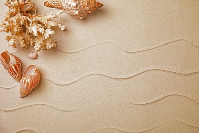 Photo of Different beautiful sea shells and coral on sand, flat lay. Space for text