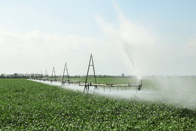 Photo of Field with irrigation system on sunny day