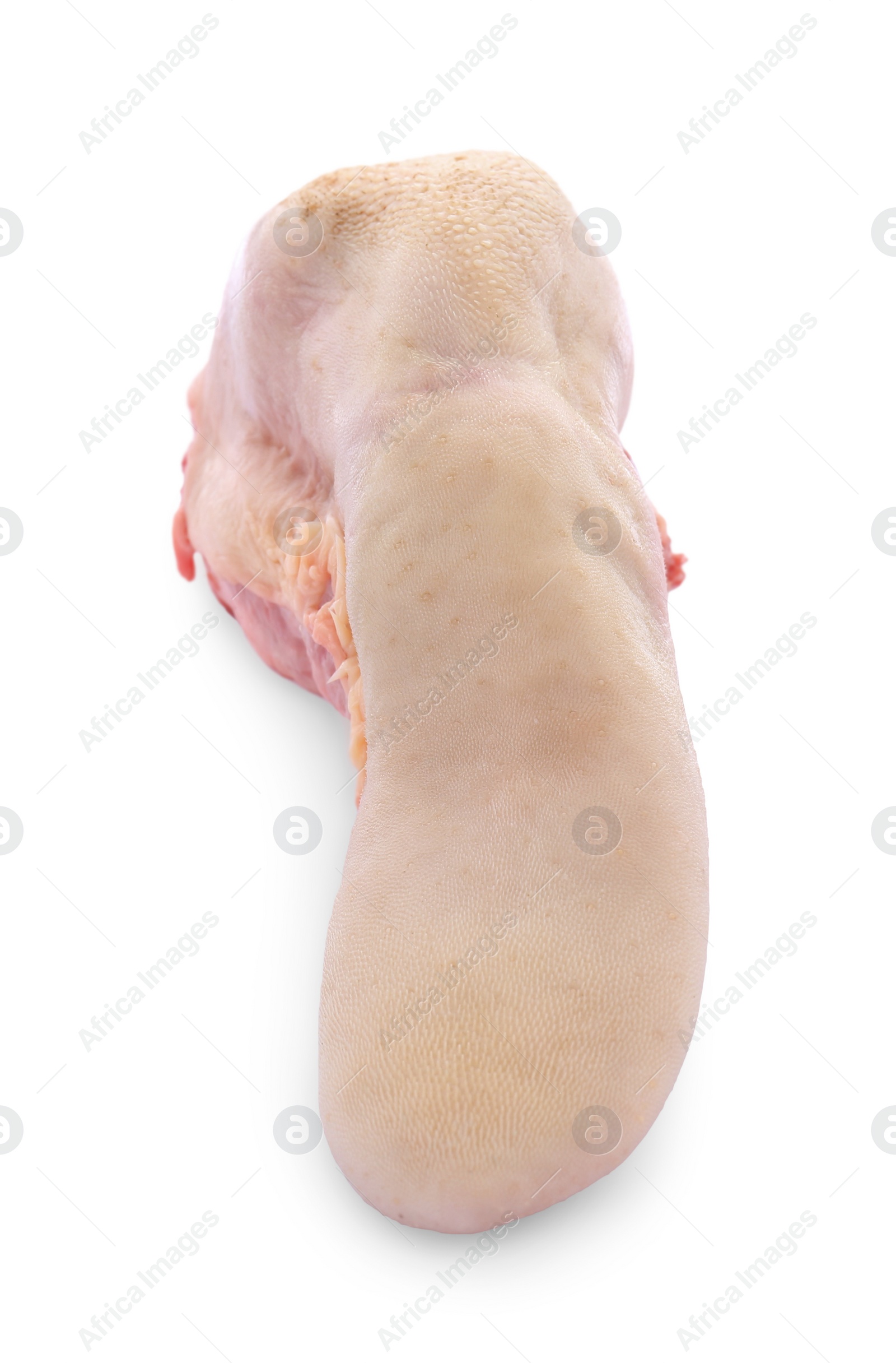 Photo of One raw beef tongue isolated on white