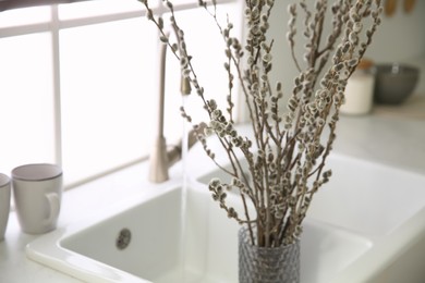 Photo of Beautiful blooming pussy willow branches in kitchen, closeup. Space for text