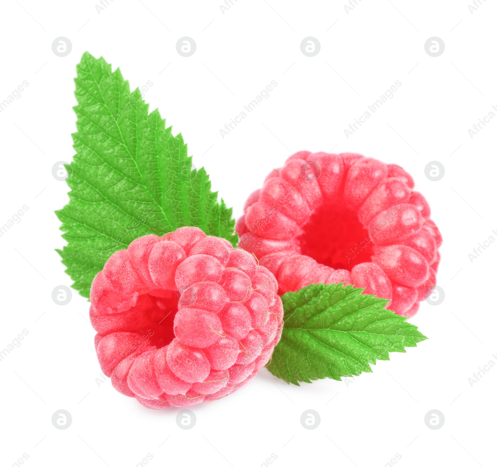 Photo of Fresh ripe raspberries and green leaves isolated on white