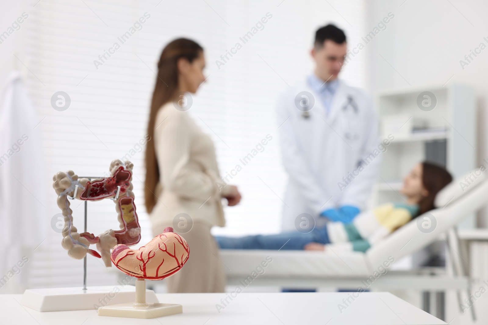 Photo of Gastroenterologist examining girl in clinic, focus on models of stomach and intestine on white table